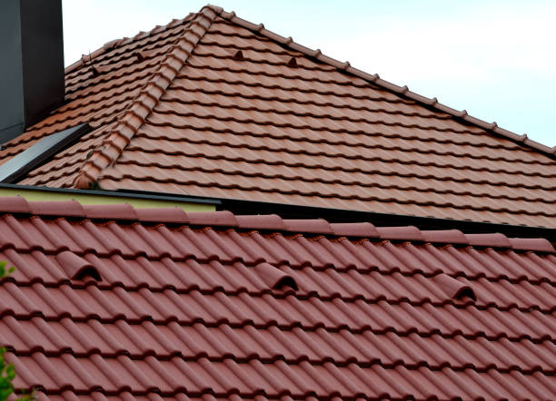 roof tile or painted concrete, orange with ventilation and top row on the ridge. side view in contrast with another shade of burnt tiles. orange color